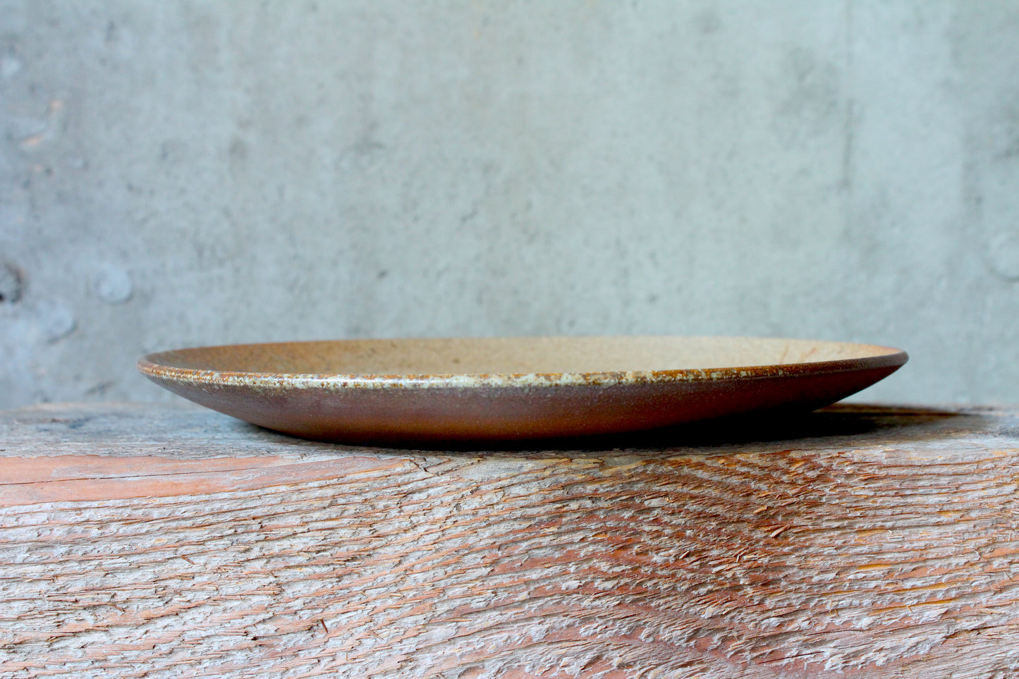 9-inch Stoneware Flat Plate