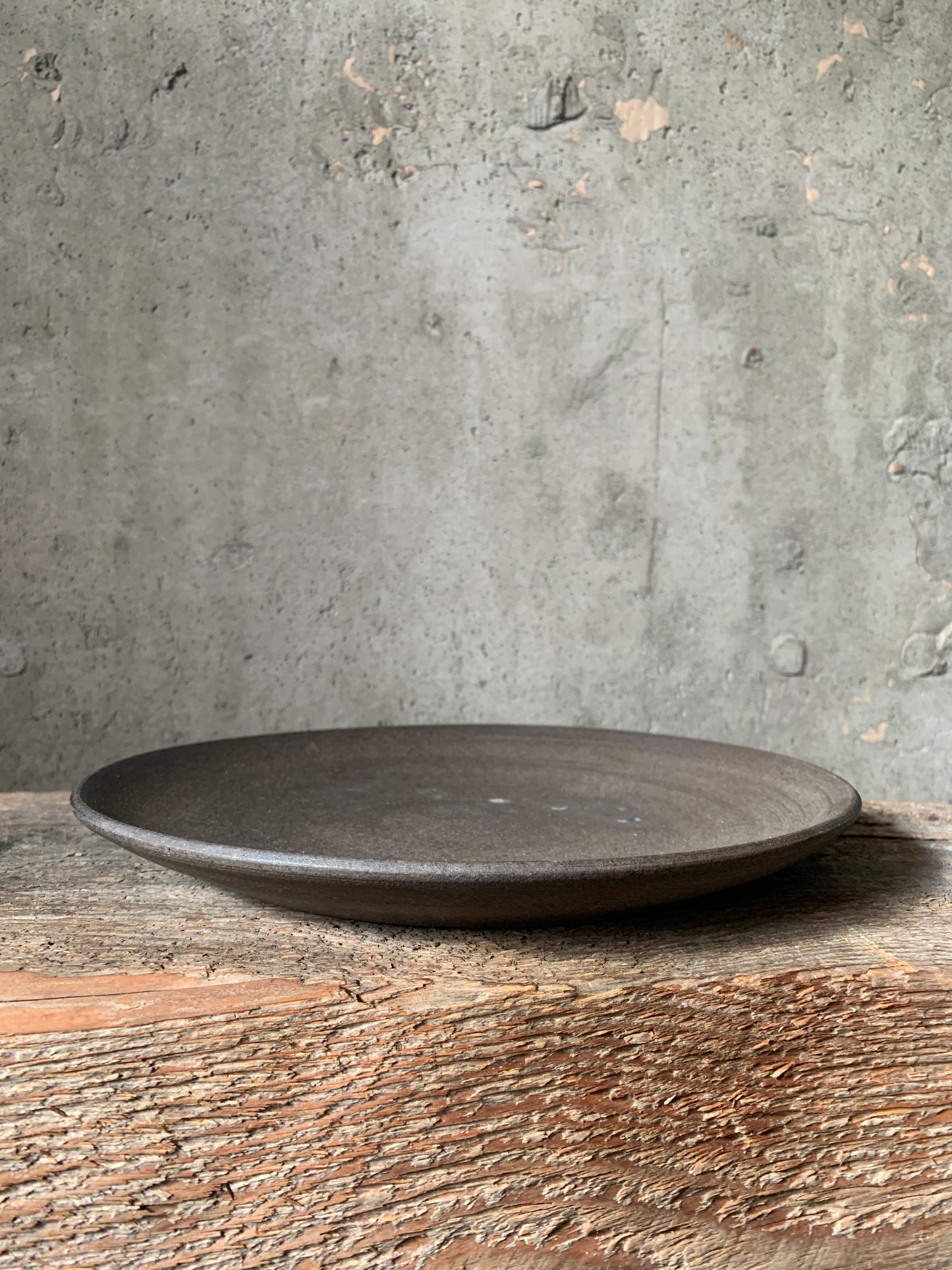 9-inch Stoneware Flat Plate